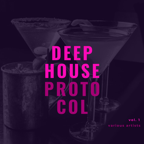 Deep-House Protocol, Vol. 1