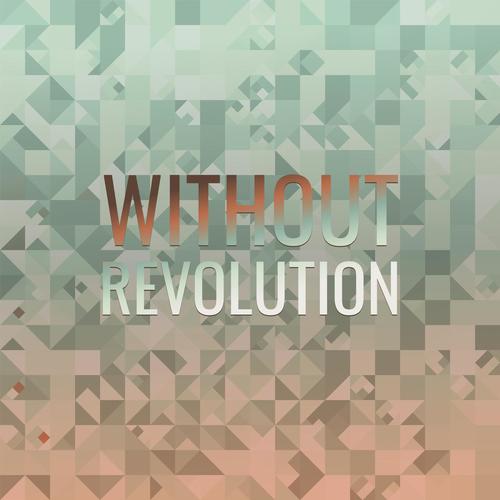 Without Revolution