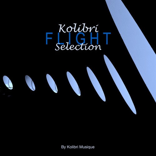 Kolibri Flight Selection