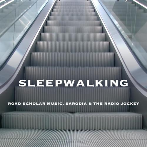 Sleepwalking (feat. Sarodia & The Radio Jockey)