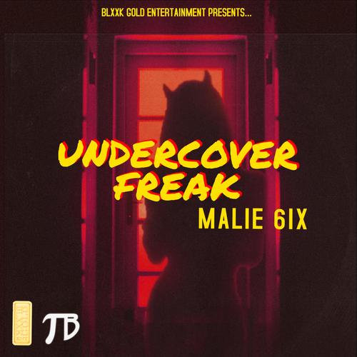 Undercover Freak (feat. TalerntedBeats) [Explicit]