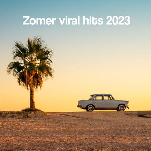 Zomer Viral Hits 2023 | Everytime you break my heart (Explicit)