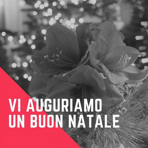 Vi auguriamo un Buon Natale