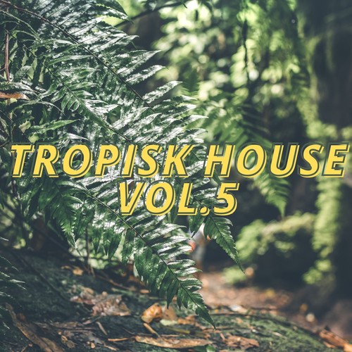 Tropisk House Vol.5