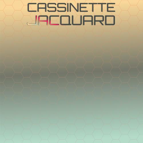 Cassinette Jacquard