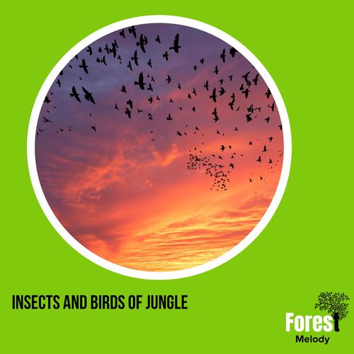 Insects and Birds of Jungle