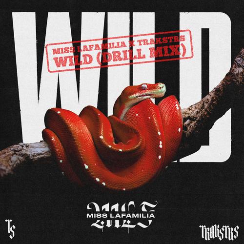 Wild (Trakstrs Remix) [Explicit]