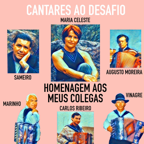 Homenagem aos Meus Colegas (Cantares Ao Desafio)