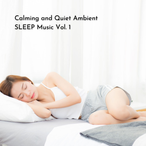 Calming and Quiet Ambient SLEEP Music Vol. 1