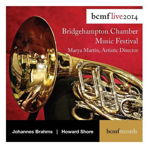 BRAHMS, J.: Serenade No. 1 / SHORE, H.: A Place Upon the Ruins (M. Martin, Cano)