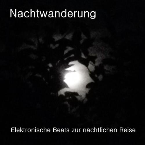 Nachtwanderung (Elektronische Beats zur nächtlichen Reise)