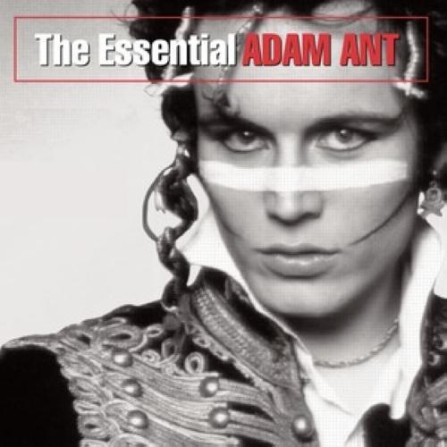 The Essential Adam Ant