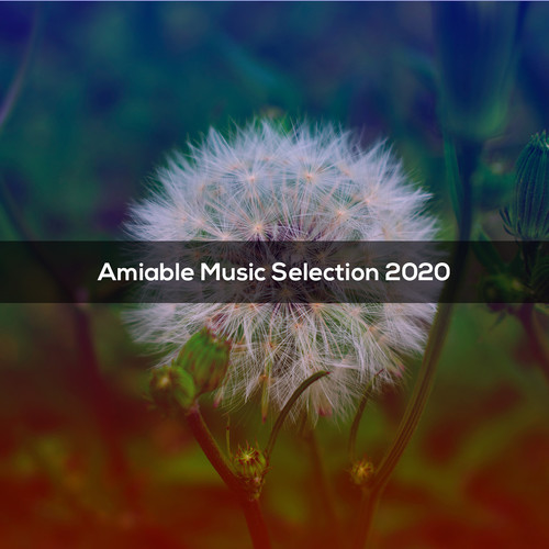 AMIABLE MUSIC SELECTION 2020