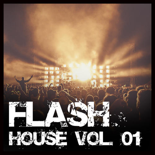 Flash House, Vol. 1