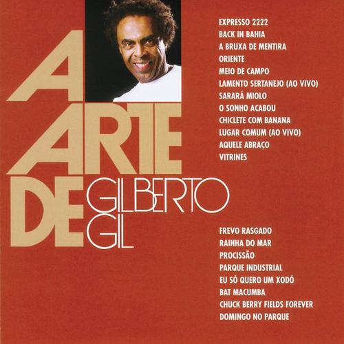 A Arte De Gilberto Gil