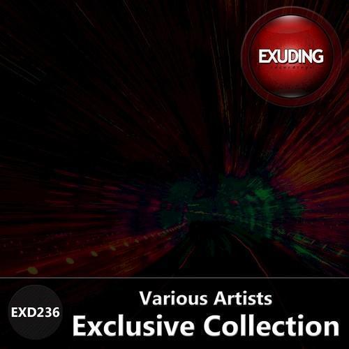 Exclusive Collection