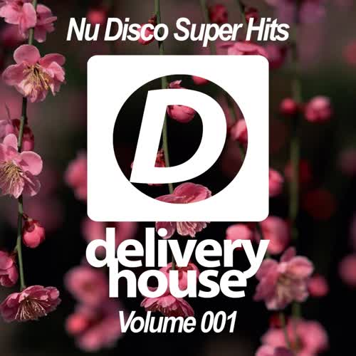 Nu Disco Super Hits (Volume 001)