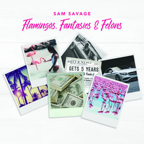 Flamingos, Fantasies & Felons (Explicit)