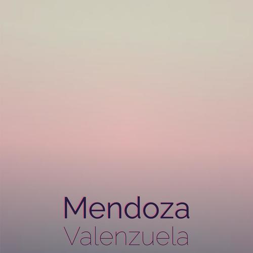 Mendoza Valenzuela