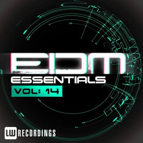 EDM Essentials, Vol. 14