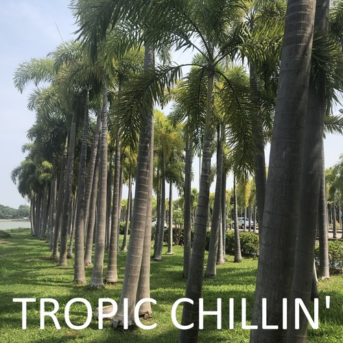 Tropic Chillin'