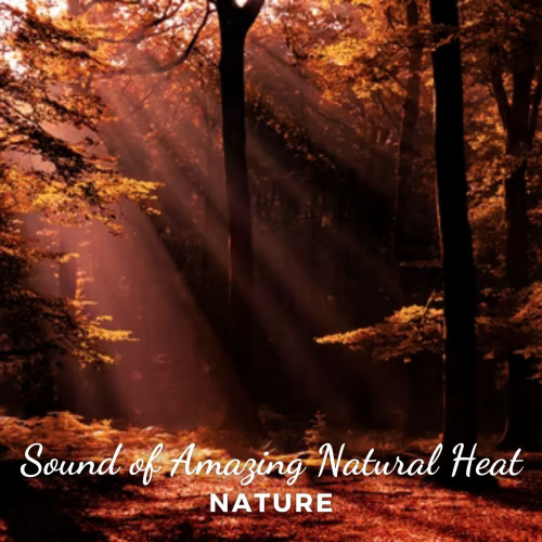 Nature: Sounds of Amazing Natural Heat