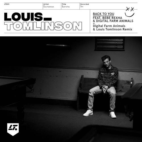 Back to You (Digital Farm Animals and Louis Tomlinson Remix) [Explicit]