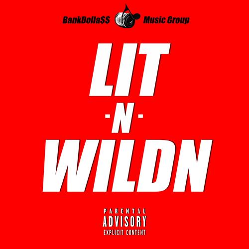 Lit N Wildn (Explicit)