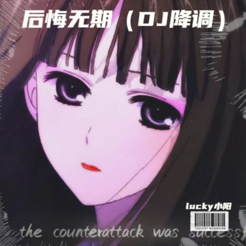 后悔无期（DJ降调）