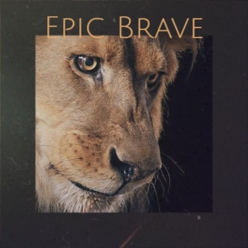 Epic Brave