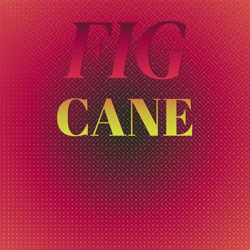 Fig Cane