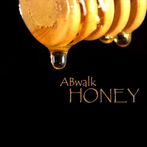 honey(version b dubstrumental)
