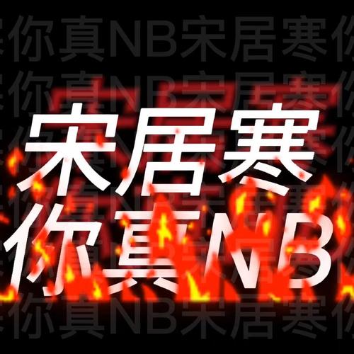 宋居寒你真NB-翻唱