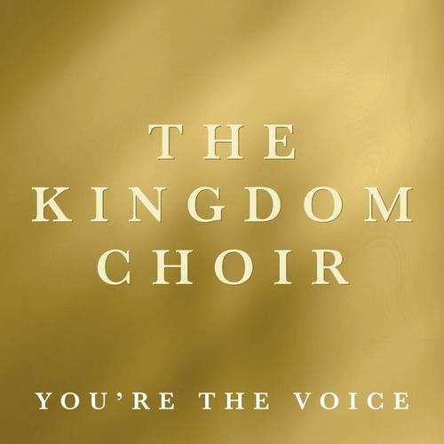 You're the Voice