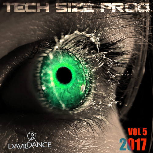 Tech Size Prog 2017 Vol. 5