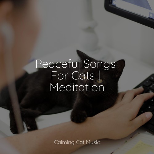 Peaceful Songs For Cats | Meditation