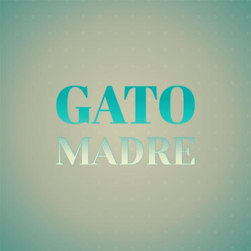 Gato Madre