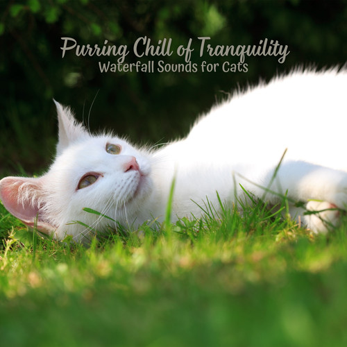 Purring Chill of Tranquility: Waterfall Sounds for Cats