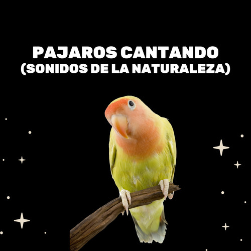 Pajaros Cantando (Sonidos De La Naturaleza)