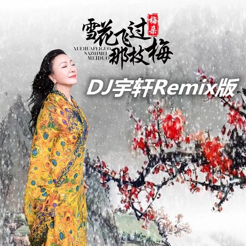 雪花飞过那枝梅(DJ宇轩Remix版)