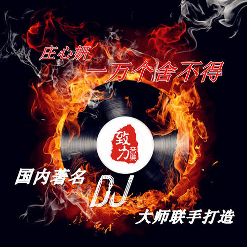 一万个舍不得（DJ大师合辑）