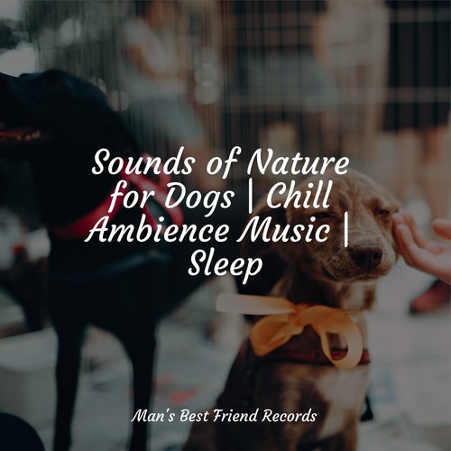 Sounds of Nature for Dogs | Chill Ambience Music | Sleep