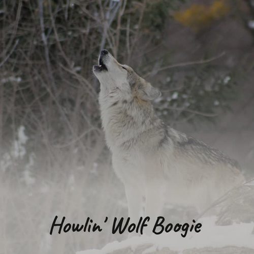 Howlin' Wolf Boogie