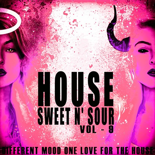 House Sweet N' Sour, Vol. 9