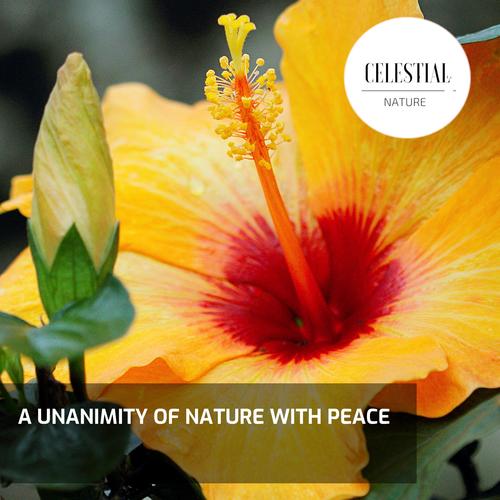 A Unanimity of Nature With Peace