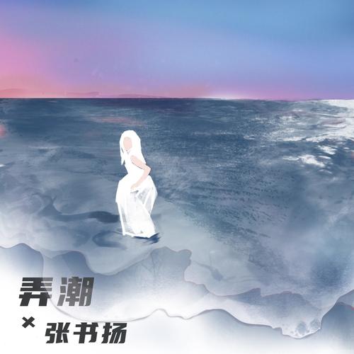 弄潮 - 张书扬
