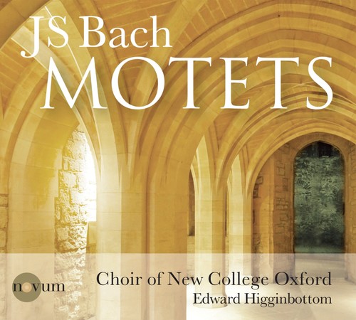 Bach: Motets