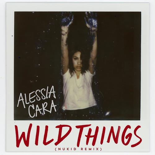 Wild Things (NuKid Remix)