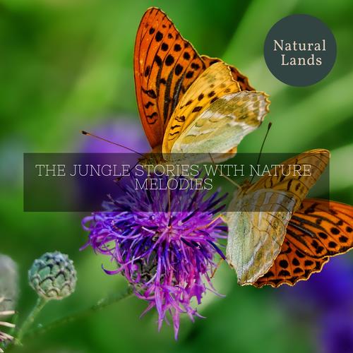 The Jungle Stories with Nature Melodies
