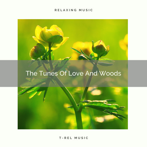 The Tunes Of Love And Woods